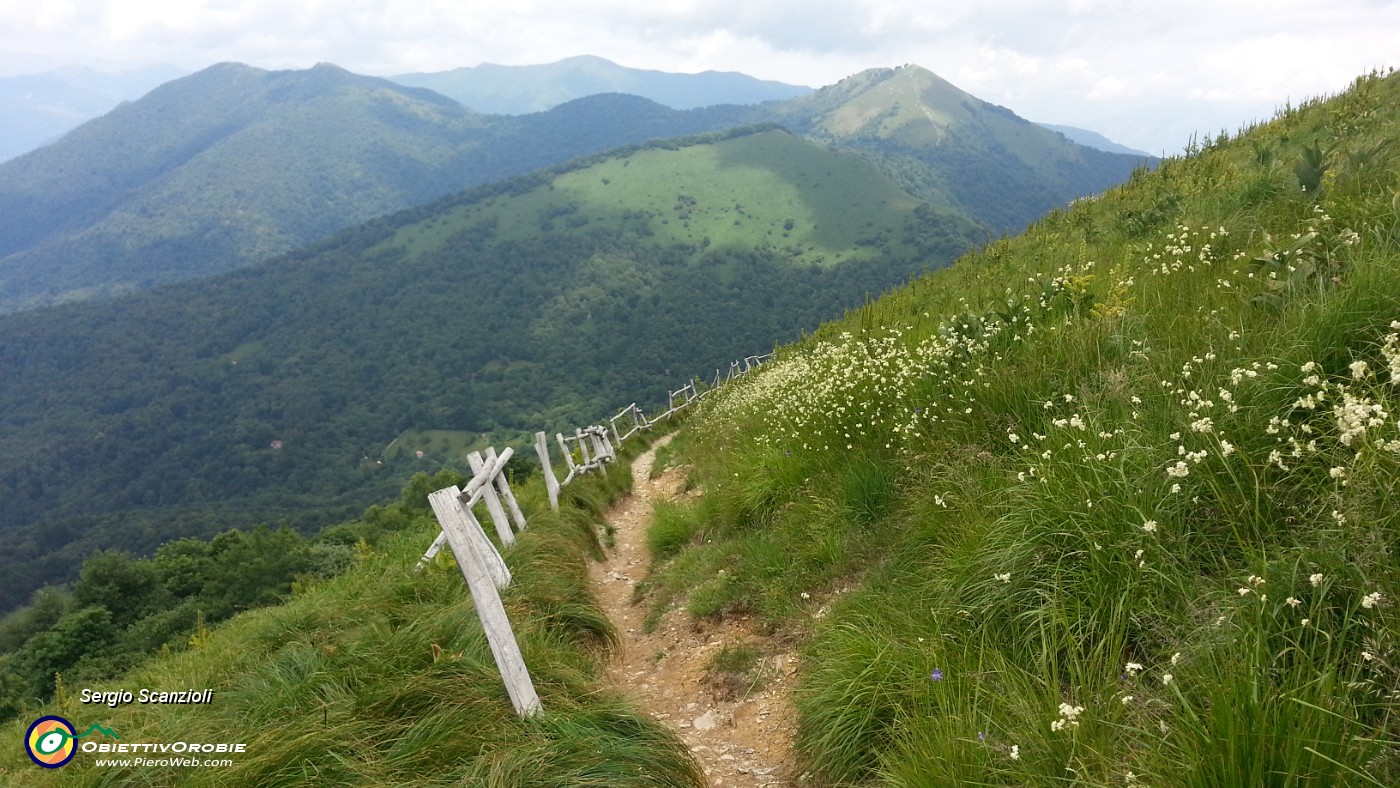 53 TRIANGOLO LARIANO.jpg